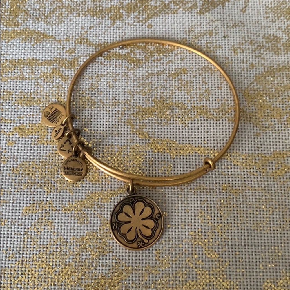 Alex and Ani Charm Bangle